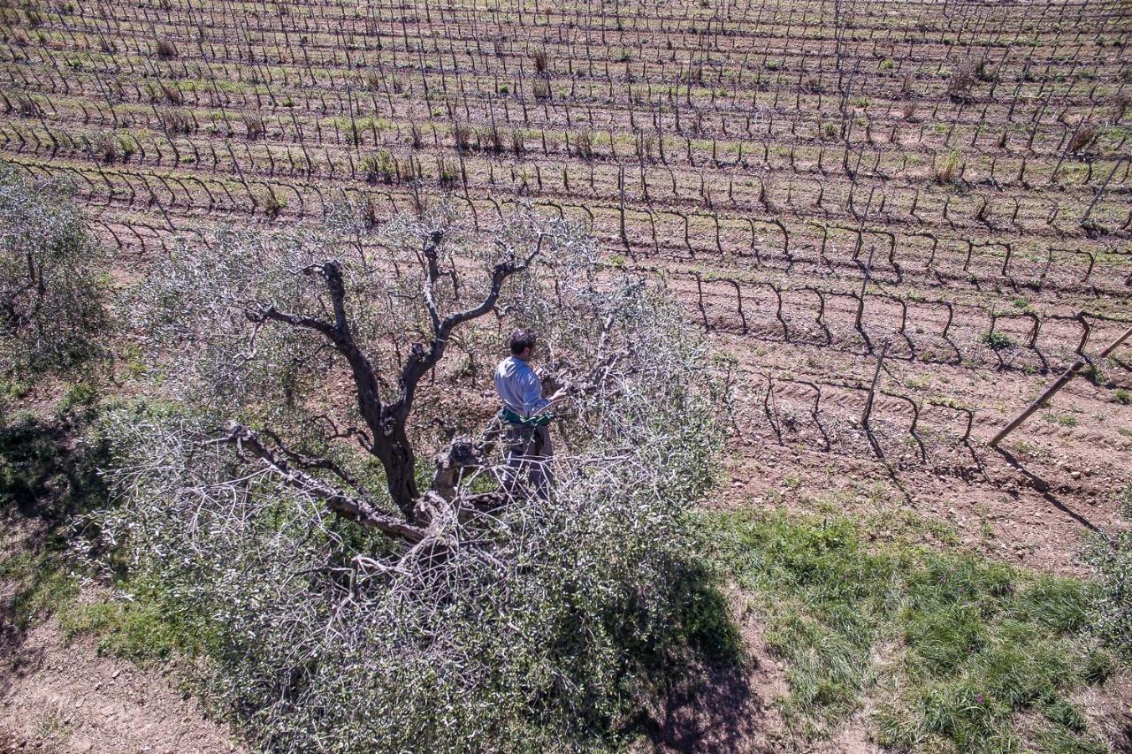 Agriturismo Ristorante הר ארגנטאריו מראה חיצוני תמונה