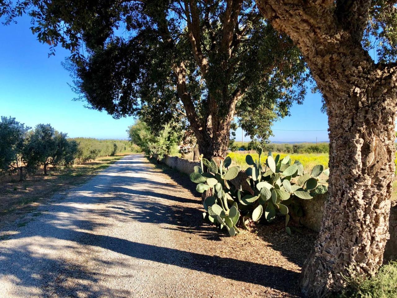 Agriturismo Ristorante הר ארגנטאריו מראה חיצוני תמונה
