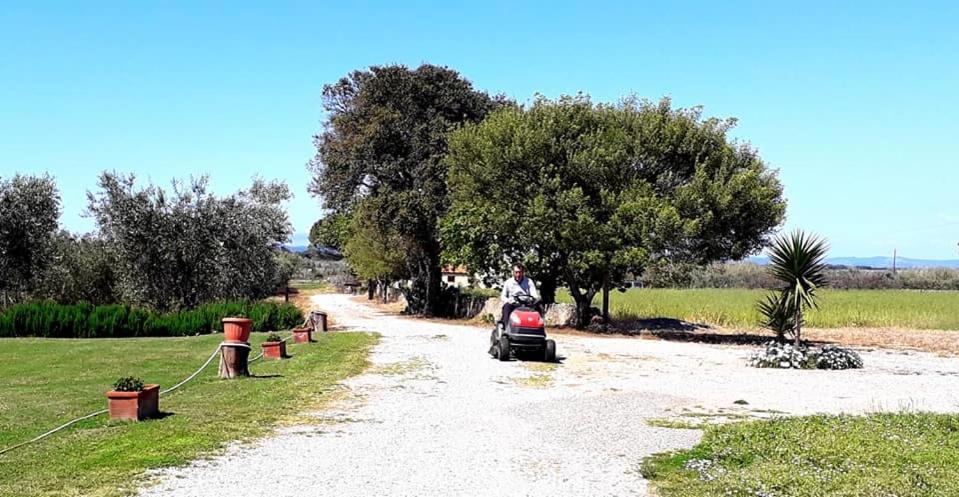 Agriturismo Ristorante הר ארגנטאריו מראה חיצוני תמונה